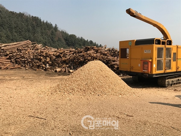 경기도 산림환경연구소는 국내 최초로 잣나무재선충병 피해목을 활용한 ‘친환경 합성목재 데크’를 개발하는데 성공했다고 10일 밝혔다.(사진=경기도청 제공)