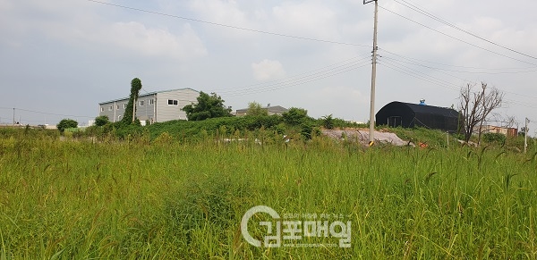걸포리(홍두평) 894번지 기존 건축물 바로 앞 농지에 전용신청을 반려한 현장(사진=천용남기자)
