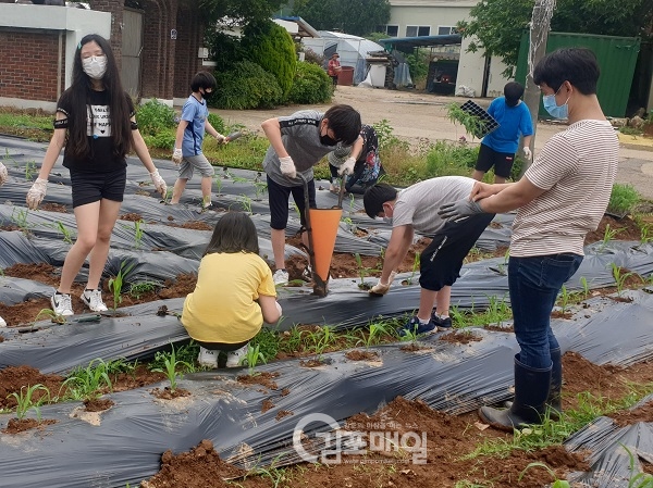 접경지역에 위치한 김포 개곡초등학교 학생들이 통일옥수수를 정성스레 심고 있다.(사진=개곡초등학교)