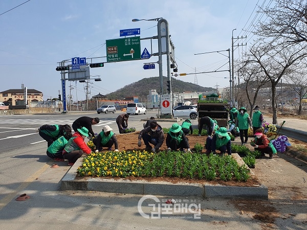 새마을부녀회가 김포시 대곶면 대명항 입구에 봄 꽃을 식재하고 있다.(사진=김포시 대곶면)