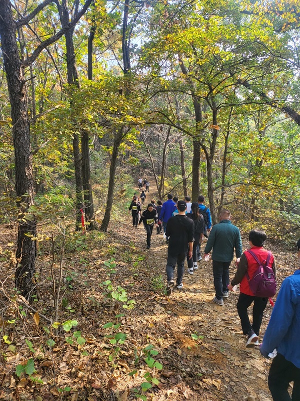 올 들어 두 번째 마련한 걷기대회가 펼쳐진 가운데 주민 400여 명이 줄이어 숲길을 걷고 있다.(사진= 통진주민자치회)
